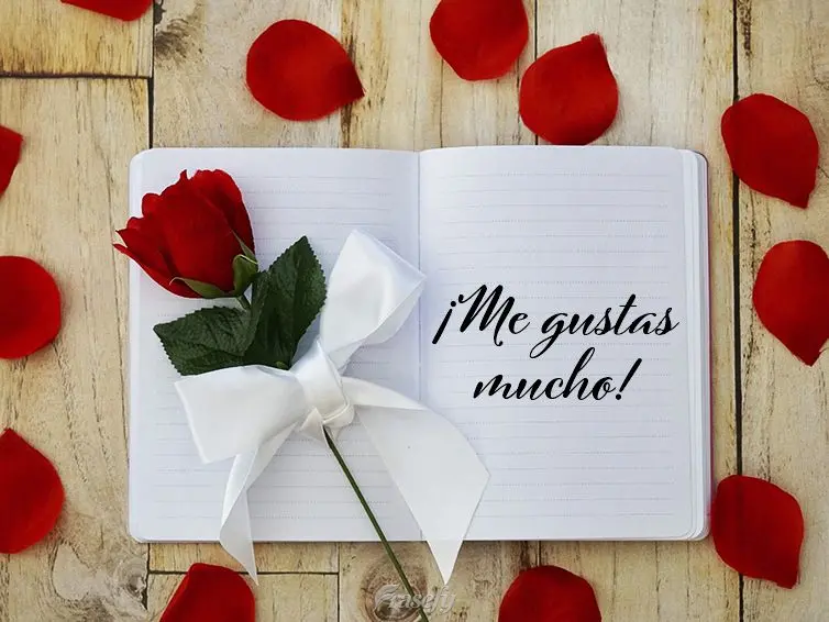 ¡Me gustas mucho!