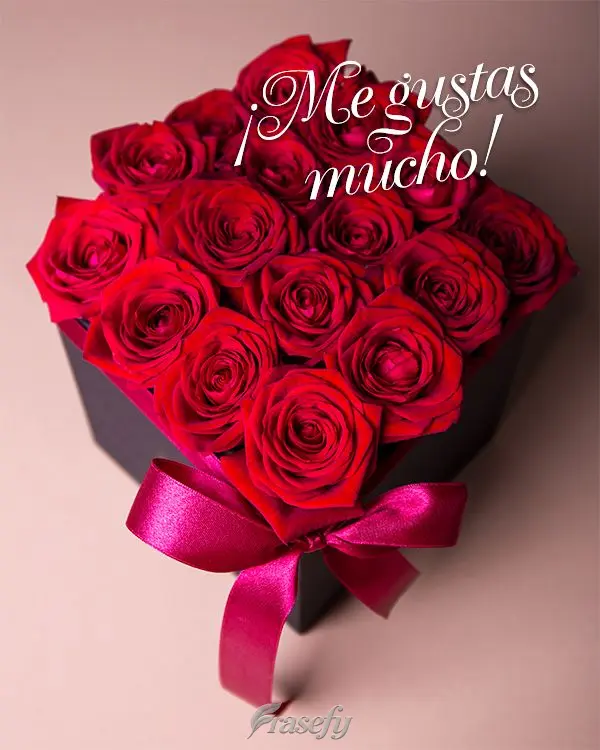 ¡Me gustas mucho!