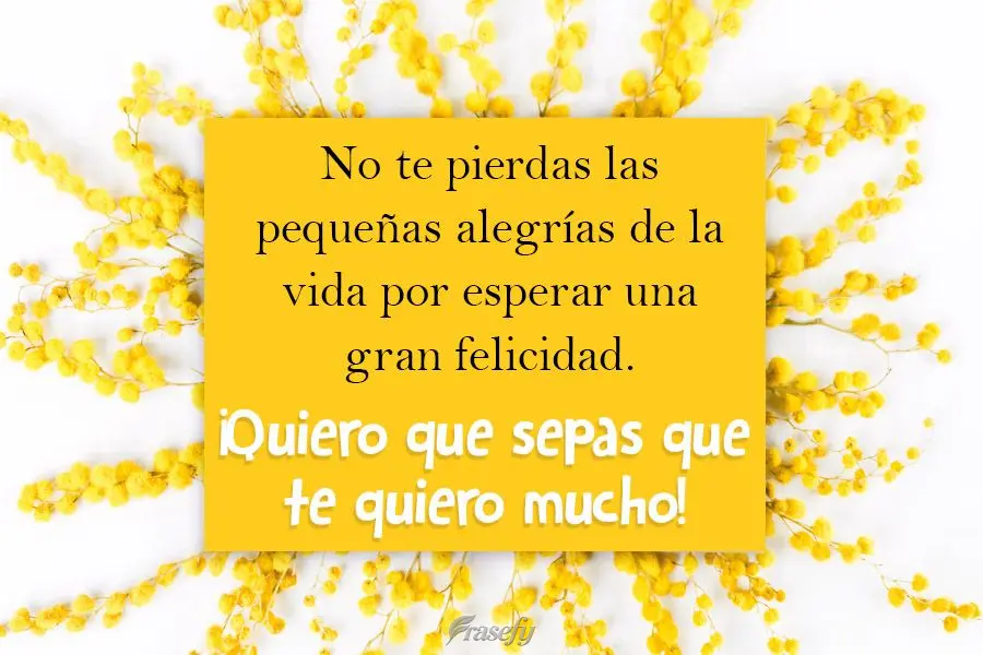 No te pierdas las pequeñas alegrías de la vida por esperar una gran felicidad. ¡Quiero que sepas que te quiero mucho!