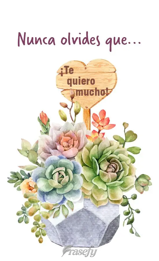 Nunca olvides que... ¡te quiero mucho!