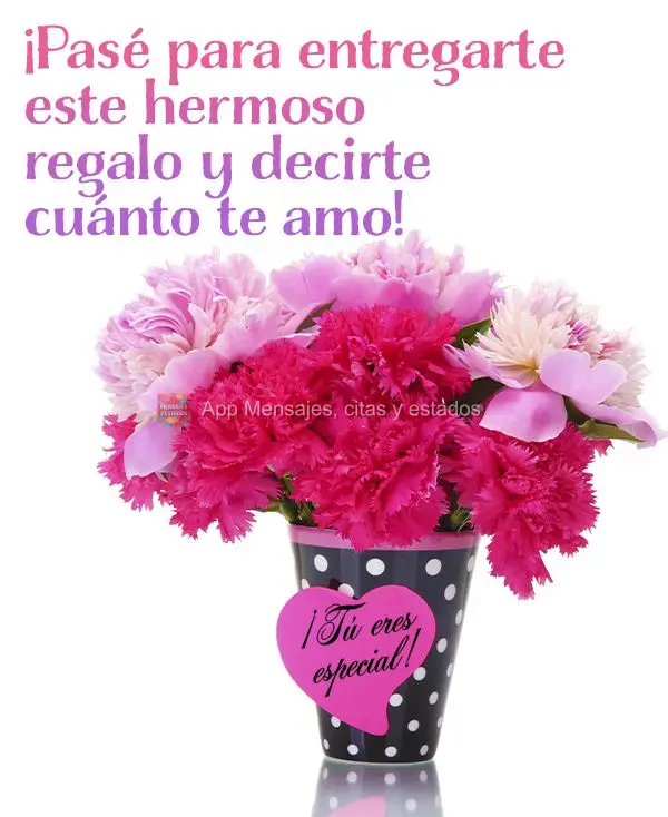 ¡Pasé para entregarte este hermoso regalo y decirte cuánto te amo! ¡Tú eres especial!