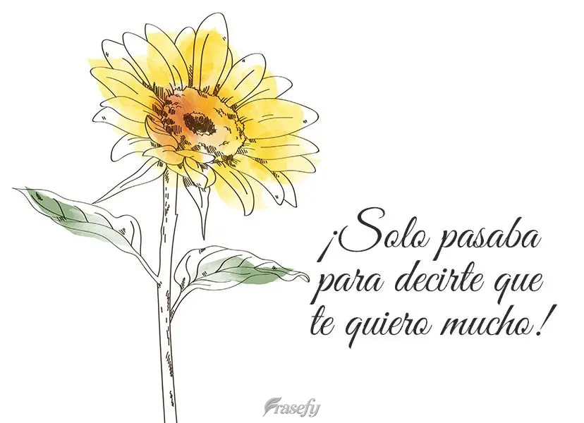 ¡Solo pasaba para decirte que te quiero mucho!