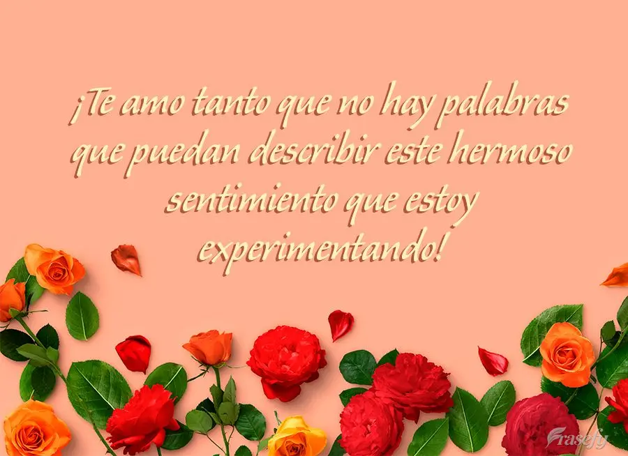 ¡Te amo tanto que no hay palabras que puedan describir este hermoso sentimiento que estoy experimentando!