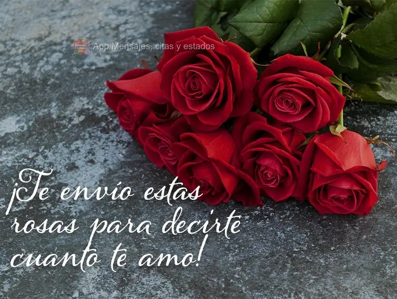 ¡Te envío estas rosas para decirte cuanto te amo!