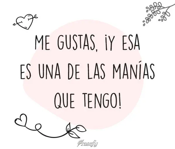 Me gustas, ¡y esa es una de las manías que tengo!