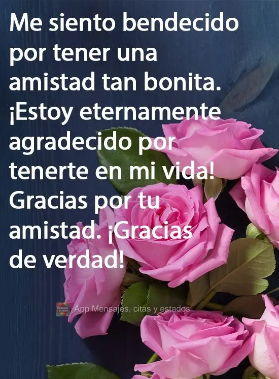 Me siento bendecido por tener una amistad tan bonita. ¡Estoy eternamente agradecido por tenerte en mi vida! Gracias por tu amistad. ¡Gracias de verdad!...