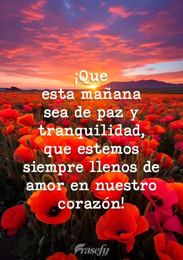 Que essa manhã seja de paz e tranquilidade, que possamos estar sempre cheios de amor em nossos corações!