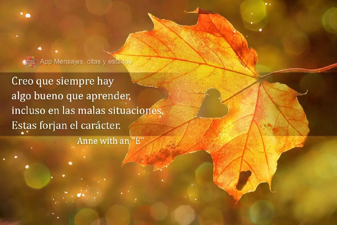 Creo que siempre hay algo bueno que aprender, incluso en las malas situaciones. Estas forjan el carácter. Anne with an "E"