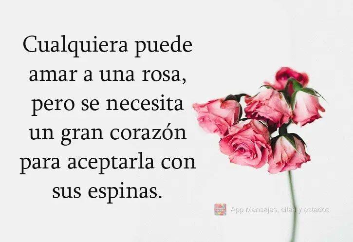 Cualquiera puede amar a una rosa, pero se necesita un gran corazón para aceptarla con sus espinas.