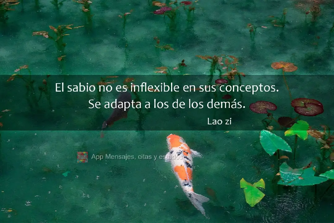 El sabio no es inflexible en sus conceptos. Se adapta a los de los demás. Lao zi