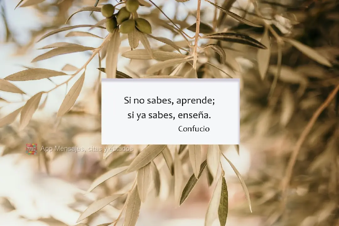 Si no sabes, aprende; si ya sabes, enseña. Confucio