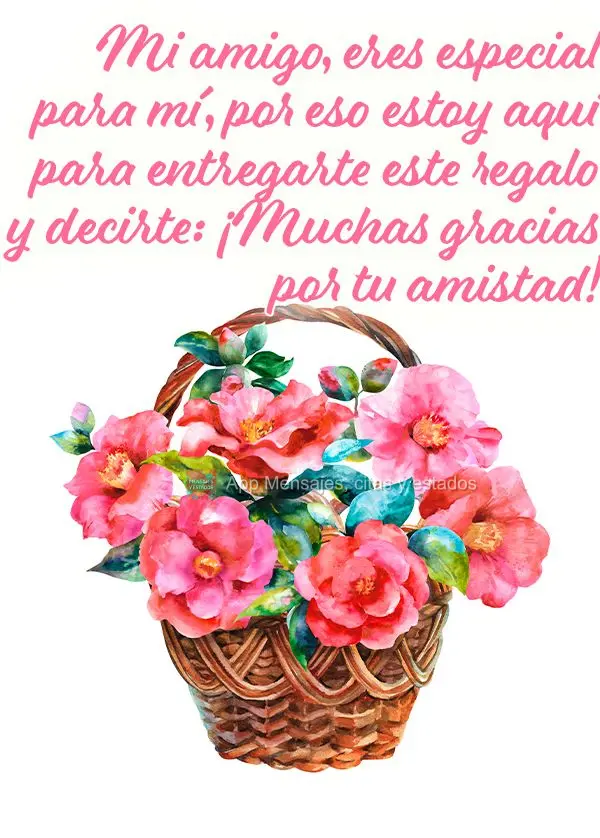 Mi amigo, eres especial para mí, por eso estoy aquí para entregarte este regalo y decirte: ¡Muchas gracias por tu amistad!