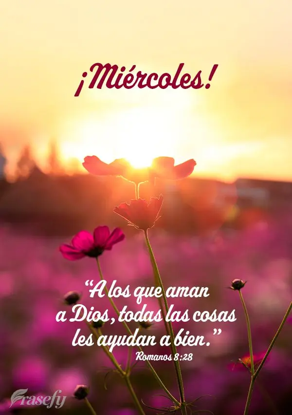 “A los que aman a Dios, todas las cosas les ayudan a bien.” ¡Miércoles! Romanos 8:28