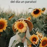 ¡Abre tu mente para ver las cosas buenas y una sonrisa para hacer del día un paraíso! ¡Feliz miércoles!