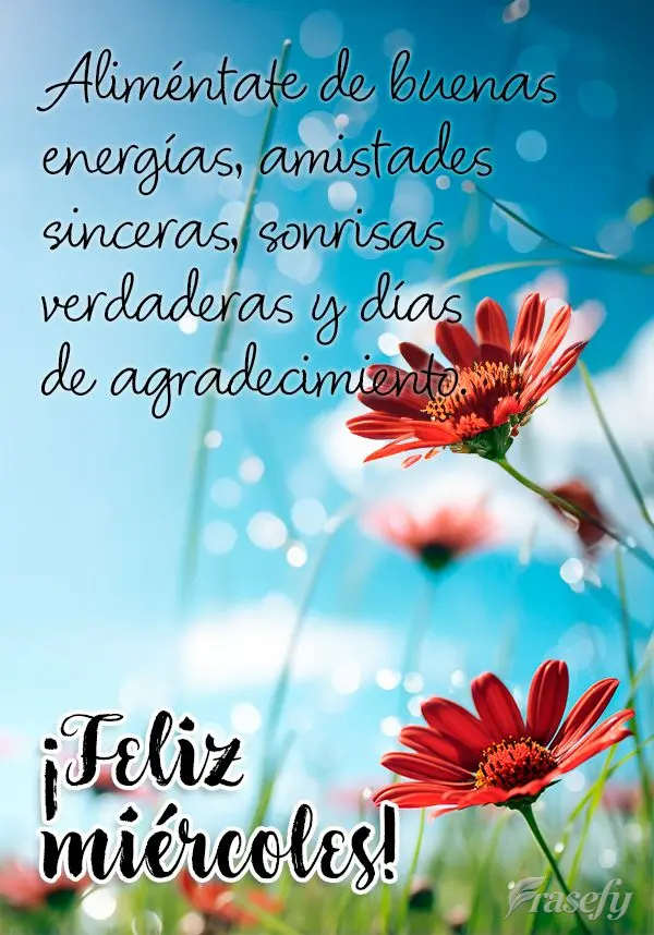 Aliméntate de buenas energías, amistades sinceras, sonrisas verdaderas y días de agradecimiento. ¡Feliz miércoles!