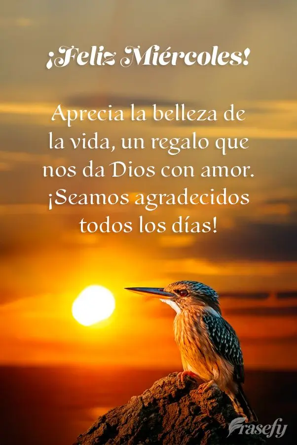 Aprecia la belleza de la vida, un regalo que nos da Dios con amor. ¡Seamos agradecidos todos los días! ¡Feliz Miércoles!