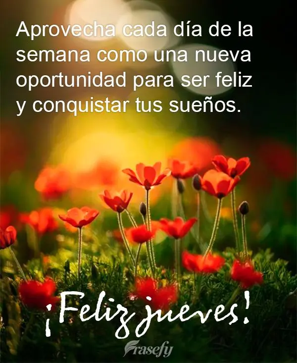 Aprovecha cada día de la semana como una nueva oportunidad para ser feliz y conquistar tus sueños. ¡Feliz jueves!