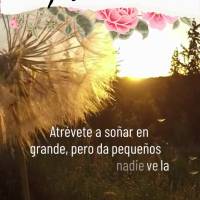 Atrévete a soñar en grande, pero da pequeños pasos, porque nadie ve la cima de la montaña, pero si miras hacia atrás, siéntete orgulloso de todo lo...