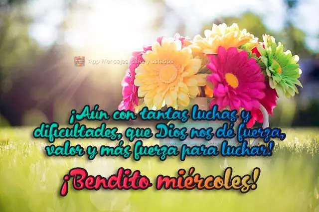 ¡Aún con tantas luchas y dificultades, que Dios nos dé fuerza, valor y más fuerza para luchar! ¡Bendito miércoles!