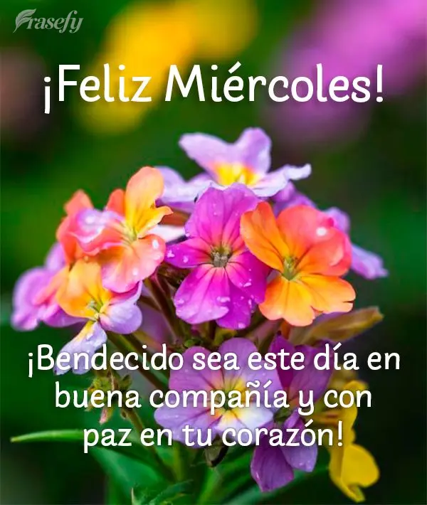 ¡Bendecido sea este día en buena compañía y con paz en tu corazón! ¡Feliz Miércoles!