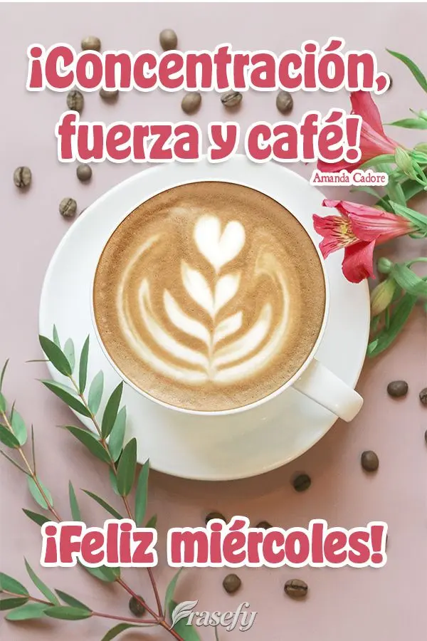 ¡Concentración, fuerza y ​​café! ¡Feliz miércoles! Amanda Cadore