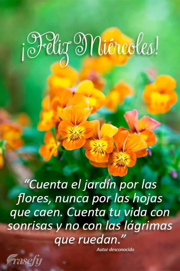 “Cuenta el jardín por las flores, nunca por las hojas que caen. Cuenta tu vida con sonrisas y no con las lágrimas que ruedan.” ¡Feliz miércoles! ...