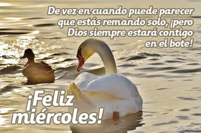 De vez en cuando puede parecer que estás remando solo, ¡pero Dios siempre estará contigo en el bote! ¡Feliz miércoles!