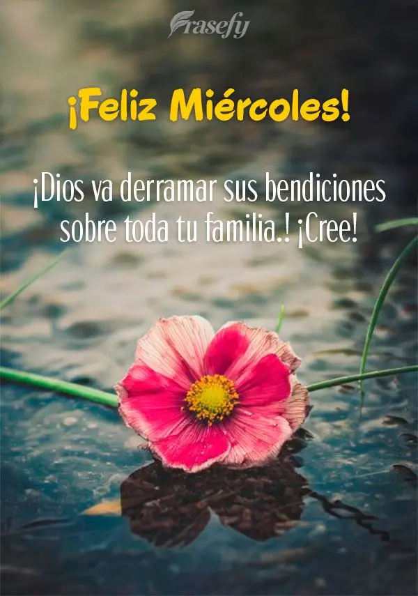 ¡Dios va derramar sus bendiciones sobre toda tu familia.! ¡Cree! ¡Feliz Miércoles!