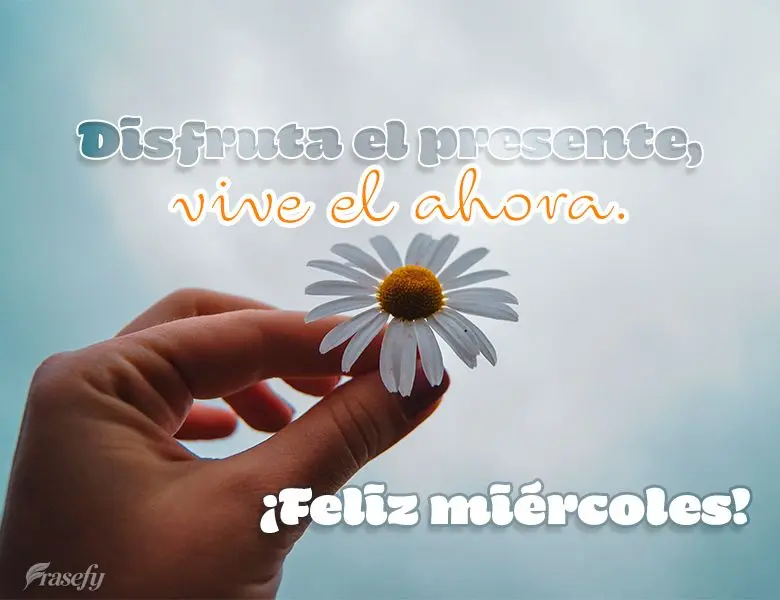 Disfruta el presente, vive el ahora. ¡Feliz miércoles!