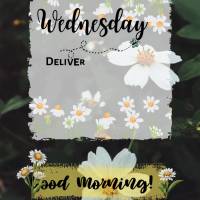 Miércoles
Encomienda tu camino al Señor;
confía en él, y él actuará:
Salmos 37.5
¡Buen día! ¡Buen día!