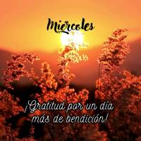 ¡Gratitud por un día más de bendición! Miércoles