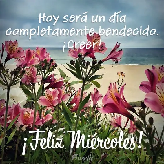Hoy será un día completamente bendecido. ¡Creer! ¡Feliz miércoles!