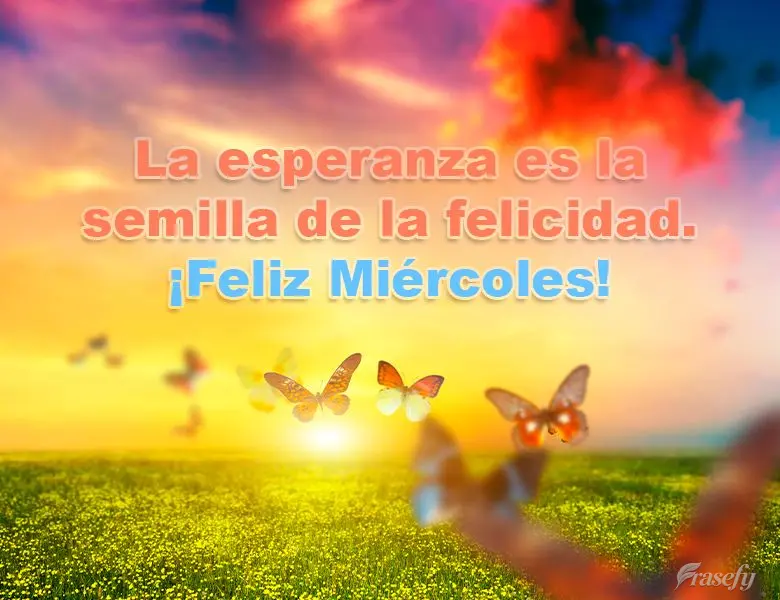 La esperanza es la semilla de la felicidad. ¡Feliz miércoles!