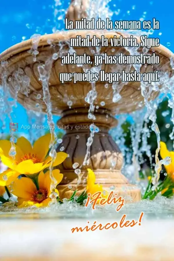 La mitad de la semana es la mitad de la victoria. Sigue adelante, ya has demostrado que puedes llegar hasta aquí. ¡Feliz miércoles!