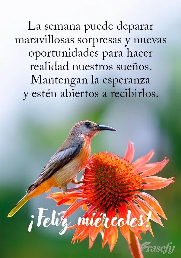 La semana puede deparar maravillosas sorpresas y nuevas oportunidades para hacer realidad nuestros sueños. Mantengan la esperanza y estén abiertos a re...