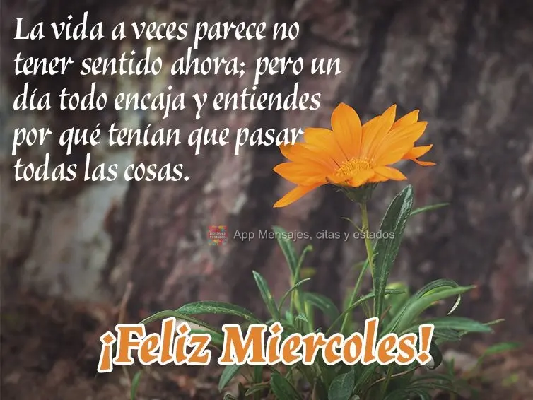 La vida a veces parece no tener sentido ahora; pero un día todo encaja y entiendes por qué tenían que pasar todas las cosas. ¡Feliz miercoles!