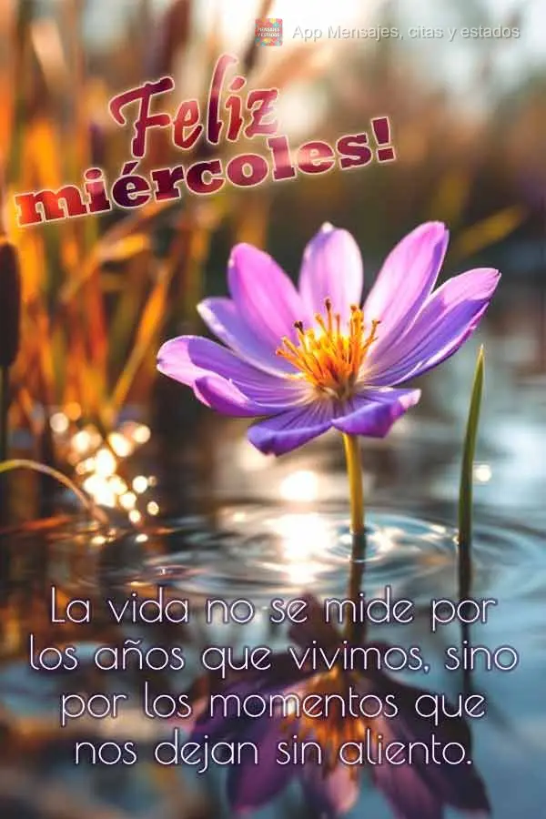 La vida no se mide por los años que vivimos, sino por los momentos que nos dejan sin aliento. ¡Feliz miércoles!