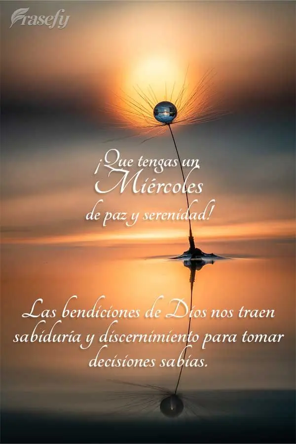 Las bendiciones de Dios nos traen sabiduría y discernimiento para tomar decisiones sabias. ¡Que tengas un miércoles de paz y serenidad!