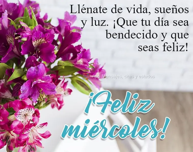 Llénate de vida, sueños y luz. ¡Que tu día sea bendecido y que seas feliz! ¡Feliz miércoles!