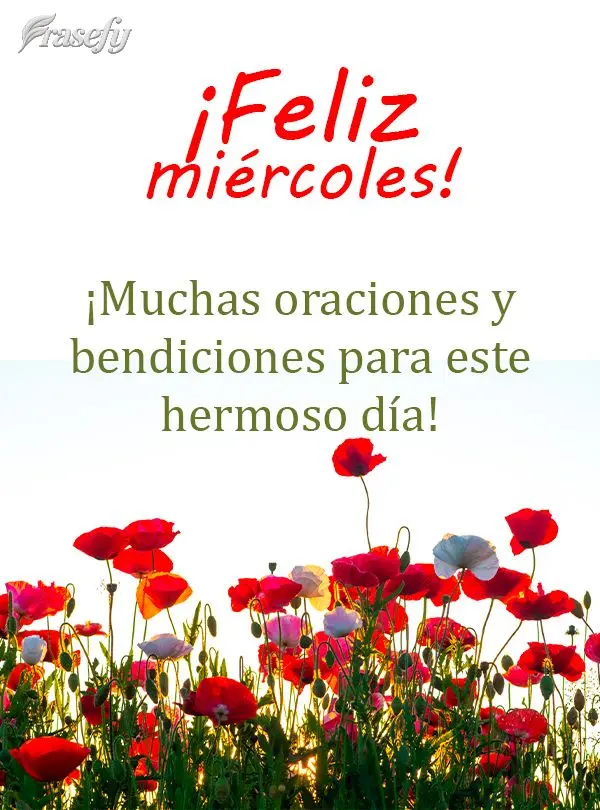 ¡Muchas oraciones y bendiciones para este hermoso día! ¡Feliz miércoles!