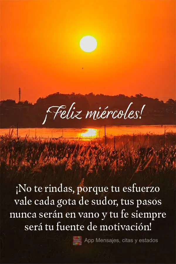 ¡No te rindas, porque tu esfuerzo vale cada gota de sudor, tus pasos nunca serán en vano y tu fe siempre será tu fuente de motivación! ¡Feliz miérc...