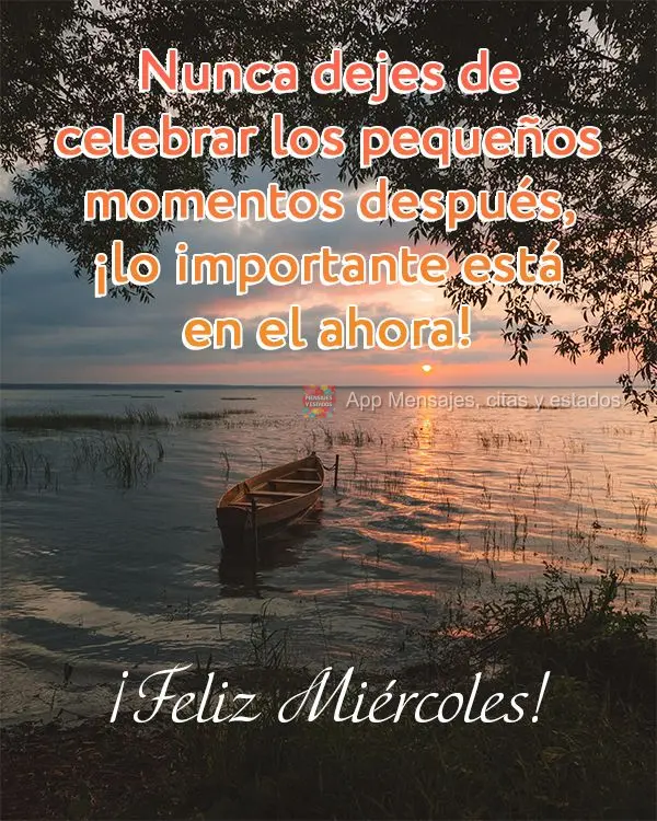 Nunca dejes de celebrar los pequeños momentos después, ¡lo importante está en el ahora! ¡Feliz miércoles!
