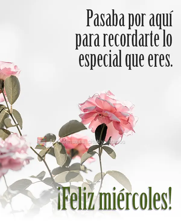 Pasaba por aquí para recordarte lo especial que eres. ¡Feliz miércoles!