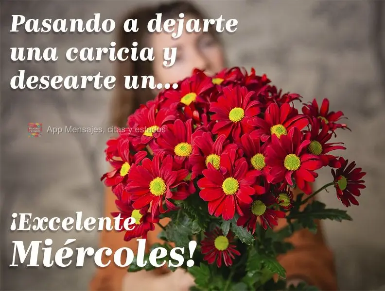 Pasando a dejarte una caricia y desearte un... ¡Excelente miércoles!