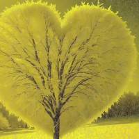 Permítete amarte, conquistate cada día, abraza tus defectos, guarda tus palabras para decirle a tu corazón que eres digno de amar y ser amado. ¡Miér...