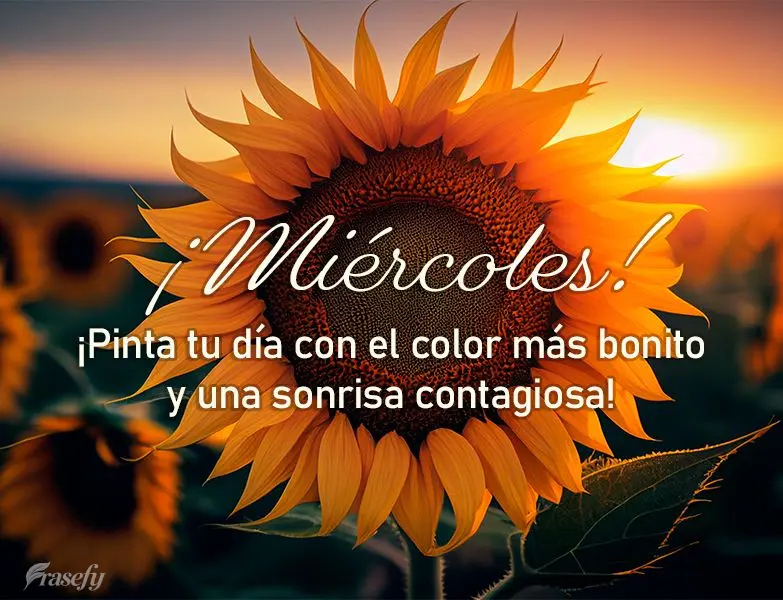 ¡Pinta tu día con el color más bonito y una sonrisa contagiosa! ¡Miércoles!