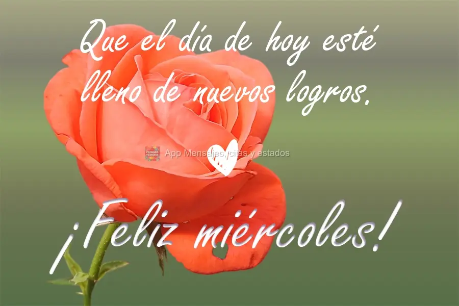 Que el día de hoy esté lleno de nuevos logros. ¡Feliz miércoles!