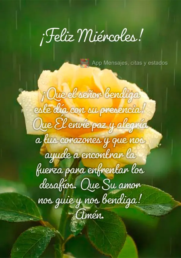 ¡Que el señor bendiga este día con su presencia! Que Él envíe paz y alegría a tus corazones y que nos ayude a encontrar la fuerza para enfrentar lo...