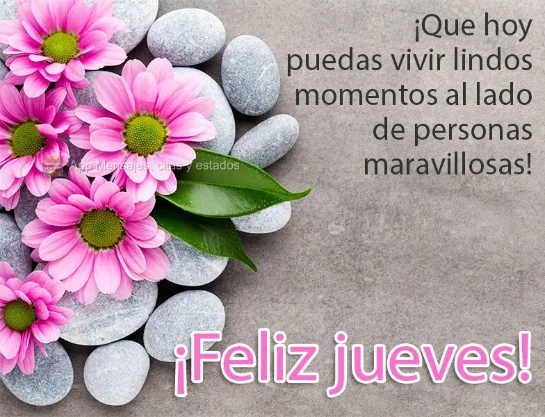¡Que hoy puedas vivir lindos momentos al lado de personas maravillosas! ¡Feliz jueves!
