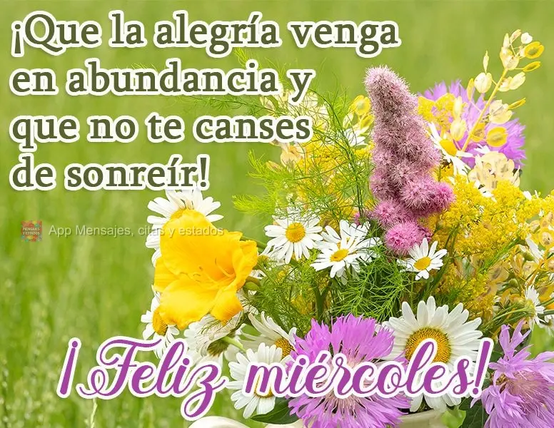 ¡Que la alegría venga en abundancia y que no te canses de sonreír! ¡Feliz miércoles!